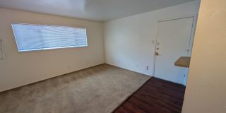 Forest Ridge Gallery 66