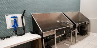 The Upton Gallery 47