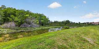 602 Sabal Palm Lane Gallery 44