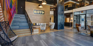 Novo Las Olas Gallery 41