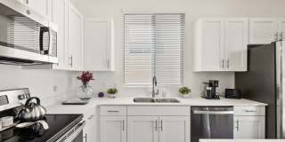 Casitas on Catalina Gallery 2