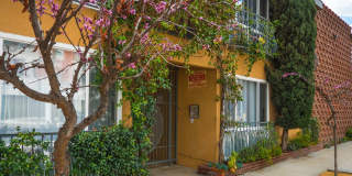 10736 Magnolia Blvd. Gallery 13