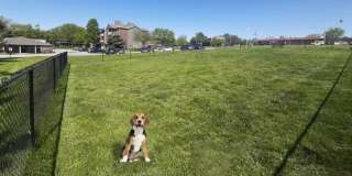 Alpine Village Apartments Gallery 9