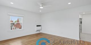 128 Kalmia Street Gallery 7