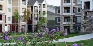 The Regency at River Valley Gallery 39