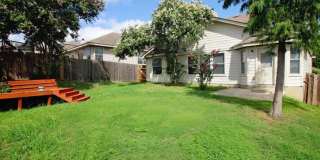 7326 Tamburo Gallery 6