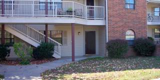 Spacious and Open 2 Bedroom 2 bath apartment/condo, Branson MO Gallery 6