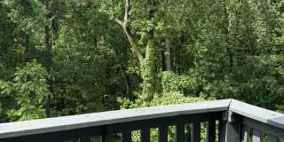 311 Woodland Village Gallery 14