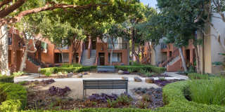 Tamarind Square Gallery 15