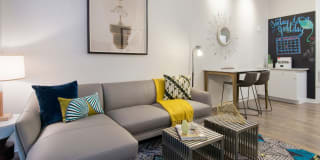 AVA North Point Gallery 7