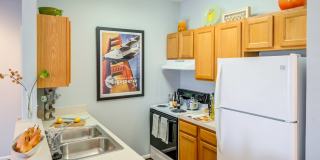 Aquia Terrace Apartments Aquia Terrace Apartments Gallery 17