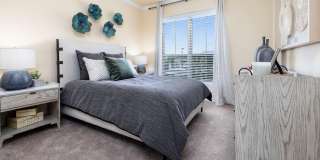 Sonoma Palms Gallery 6