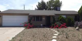 14036 N 34TH Place Gallery 1