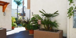 Brighton Vista Apartments Gallery 17