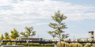 The Aster Conservatory Green Gallery 7