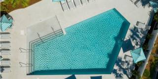 The Lily The Lily Gallery 3