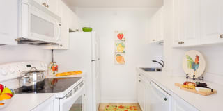 Regency Plaza Gallery 12