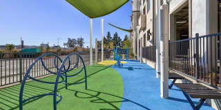 Vineyards Gallery 105