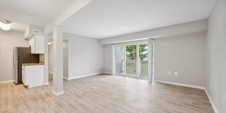 ReNew Odenton Gallery 30