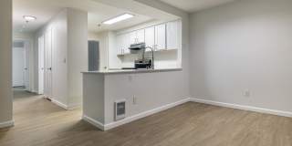 The Docks at Redmond Lakeview Gallery 45