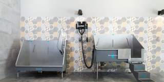 Gallery at Domain Gallery 23