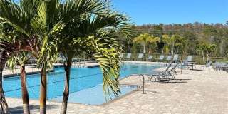 8465 Everly Preserve Drive Gallery 34