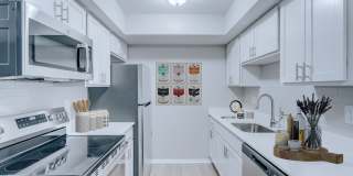 South Grove Apartments Gallery 2