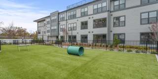 Canter Green Gallery 50