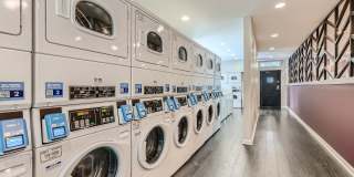 The Ventana Gallery 16