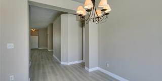 10342 Spider Rock Avenue Gallery 14