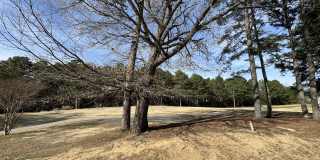 2212 Persimmon Ridge Drive Gallery 13