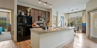 Alvista Round Rock Gallery 46