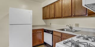 Springetts Apartments Gallery 17