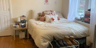 318 Saint Paul St #4D Brookline MA 02446 Gallery 1