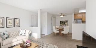 Lakeshore Apartments Gallery 10