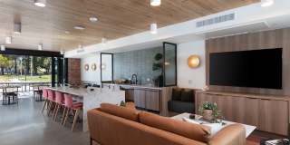 Star Harbor Gallery 4