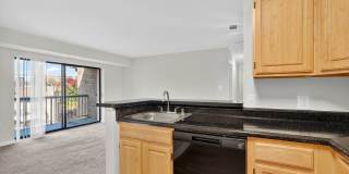 The Cloisters Gallery 25