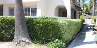 24341 CONEJO Gallery 2