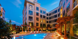 Maven at Wheaton Gallery 2