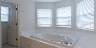 Beautifully maintained 4 bedroom, 2.5 bathroom home for rent in South Chesapeake! Gallery 34