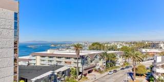 Eddy Seaview Gallery 3