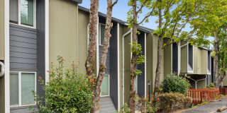 Fairmount Park Gallery 48