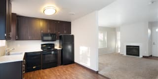 Waterscape Gallery 41