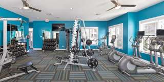 Addison Crater Woods Gallery 17