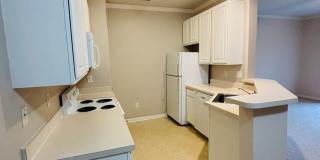 1 Bedroom 1 Bath Condo Gallery 13