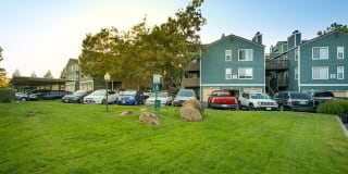 Waterscape Gallery 4