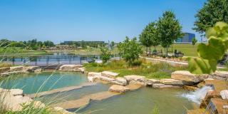 Alta at the Farm Gallery 38