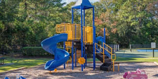 The Preserve at Pine Valley Gallery 23