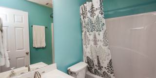 137 Bristol Woods Drive - Available August 2026! Gallery 28