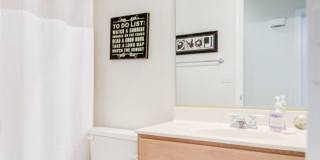 Lakewood 3 Bedroom for Rent! Gallery 22